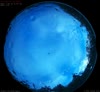 07. Jun 2026
