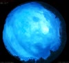 01. Aug 2026