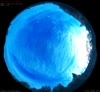 21. Aug 2026