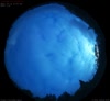 23. Aug 2026