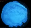 28. Aug 2026