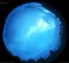 30. Aug 2026