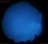 05. Sep 2026