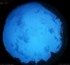 07. Sep 2026