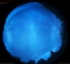 10. Sep 2026