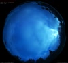 14. Sep 2026